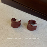 Colorful Resin Hoop Earrings