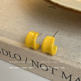 Colorful Resin Hoop Earrings